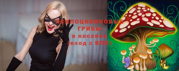 мяу мяу мука Няндома