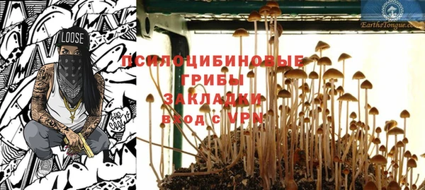 СК Осинники
