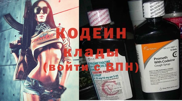 мяу мяу мука Няндома