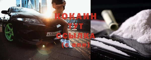 СК Осинники