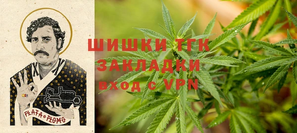 ECSTASY Нязепетровск