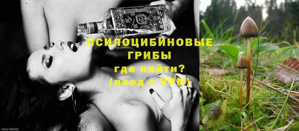 СК Осинники