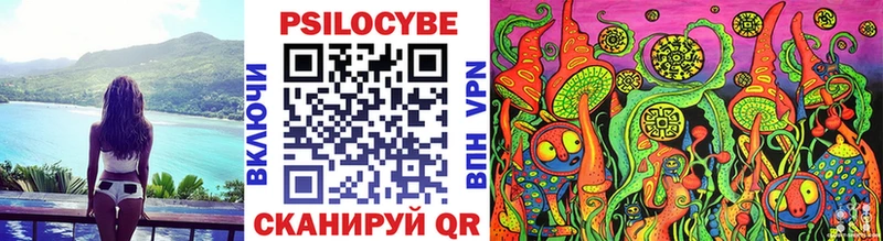 купить  цена  Новое Девяткино  Галлюциногенные грибы мухоморы 