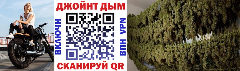 Бошки марихуана AK-47  площадка какой сайт  Новое Девяткино  как найти  